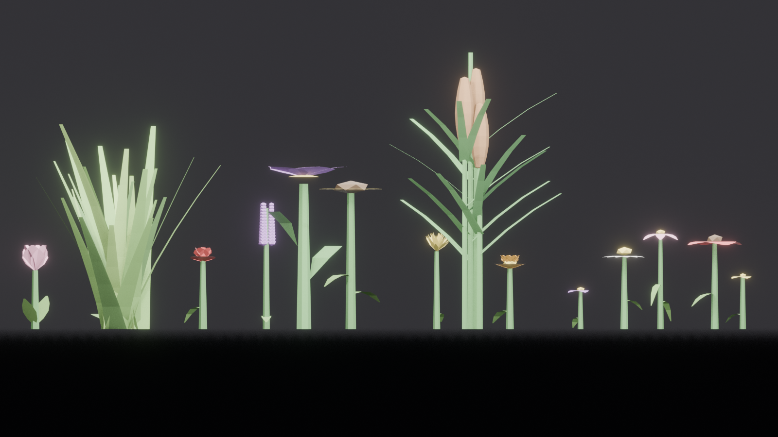 Flora - Flowers Grass Cattail